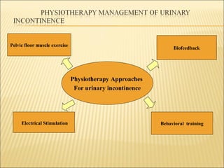 Urinary Incontinence in older women | PPT