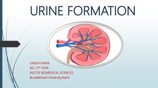 URINE FORMATION
SAKSHI NAYAK
BSC 3RD YEAR
INST.OF BIOMEDICAL SCIENCES
Bundelkhand University,Jhansi
 