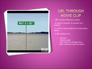 URL: Uniform Resource Locator It allows a browser to connect to a website It is like a street address for information online. A URL consists of a: protocol  domain name  path (which is divided into 2 parts: directory and file name) 