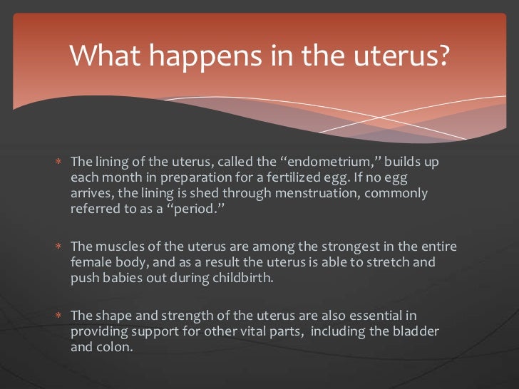 Bret Ford Uterus Presentation