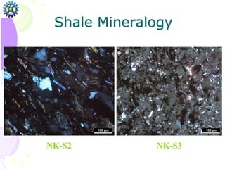 NK-S2 NK-S3
Shale Mineralogy
 