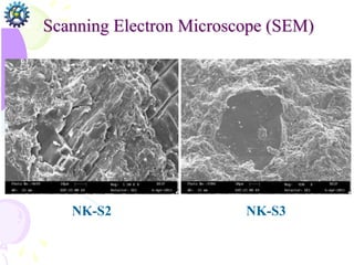 Scanning Electron Microscope (SEM)
NK-S2 NK-S3
 