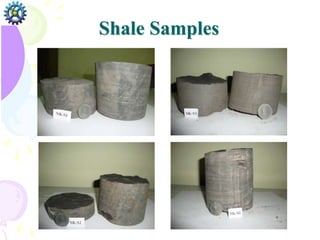 Shale Samples
 