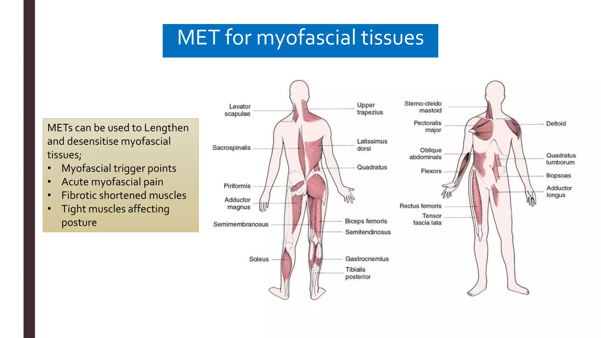 MET for myofascial tissues
METs can be used to Lengthen
and desensitise myofascial
tissues;
• Myofascial trigger points
• Acute myofascial pain
• Fibrotic shortened muscles
• Tight muscles affecting
posture
 