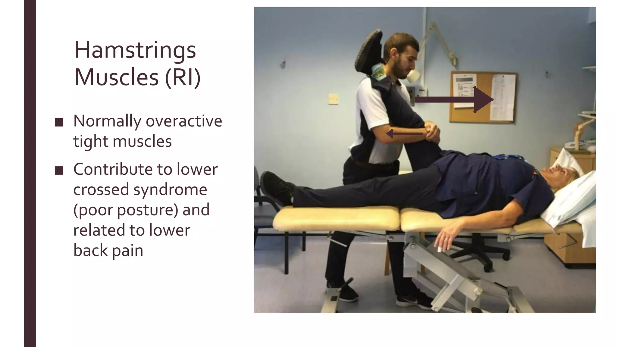 Hamstrings
Muscles (RI)
■ Normally overactive
tight muscles
■ Contribute to lower
crossed syndrome
(poor posture) and
related to lower
back pain
 