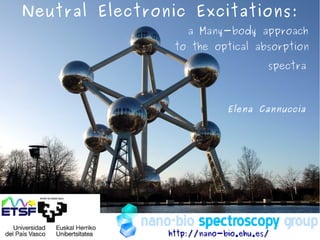 Elena Cannuccia
http://nano-bio.ehu.es/http://nano-bio.ehu.es/
Neutral Electronic Excitations:
a Many-body approach
to the optical absorption
spectra
 