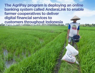 The AgriPay program is deploying an online 
banking system called AndaraLink to enable 
farmer cooperatives to deliver 
digital financial services to 
customers throughout Indonesia 
 