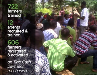 on Tigo Cash 
payment 
mechanism 
722 
farmers 
trained 
606 
farmers 
registered 
& activated 
12 
agents 
recruited & 
trained 
photo credit: ASI 
 