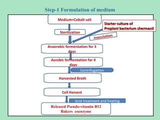 Step-1 Formulation of medium
Medium+Cobalt salt
Medium+ Cobalt salt
Sterilization

Starter culture of
Propioni bacterium shermanii
o
Inoculati

n

Anaerobic fermentation for 3
days
Aerobic fermentation for 4
days
Centrifugation
Harvested Broth
Cell Harvest
Acid treatment and heating
Released Pseudo-vitamin B12
Bakers coenzyme

 