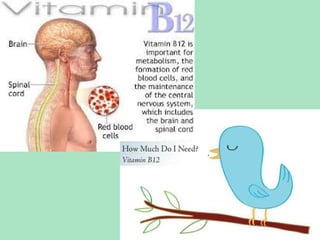  vitamin B12