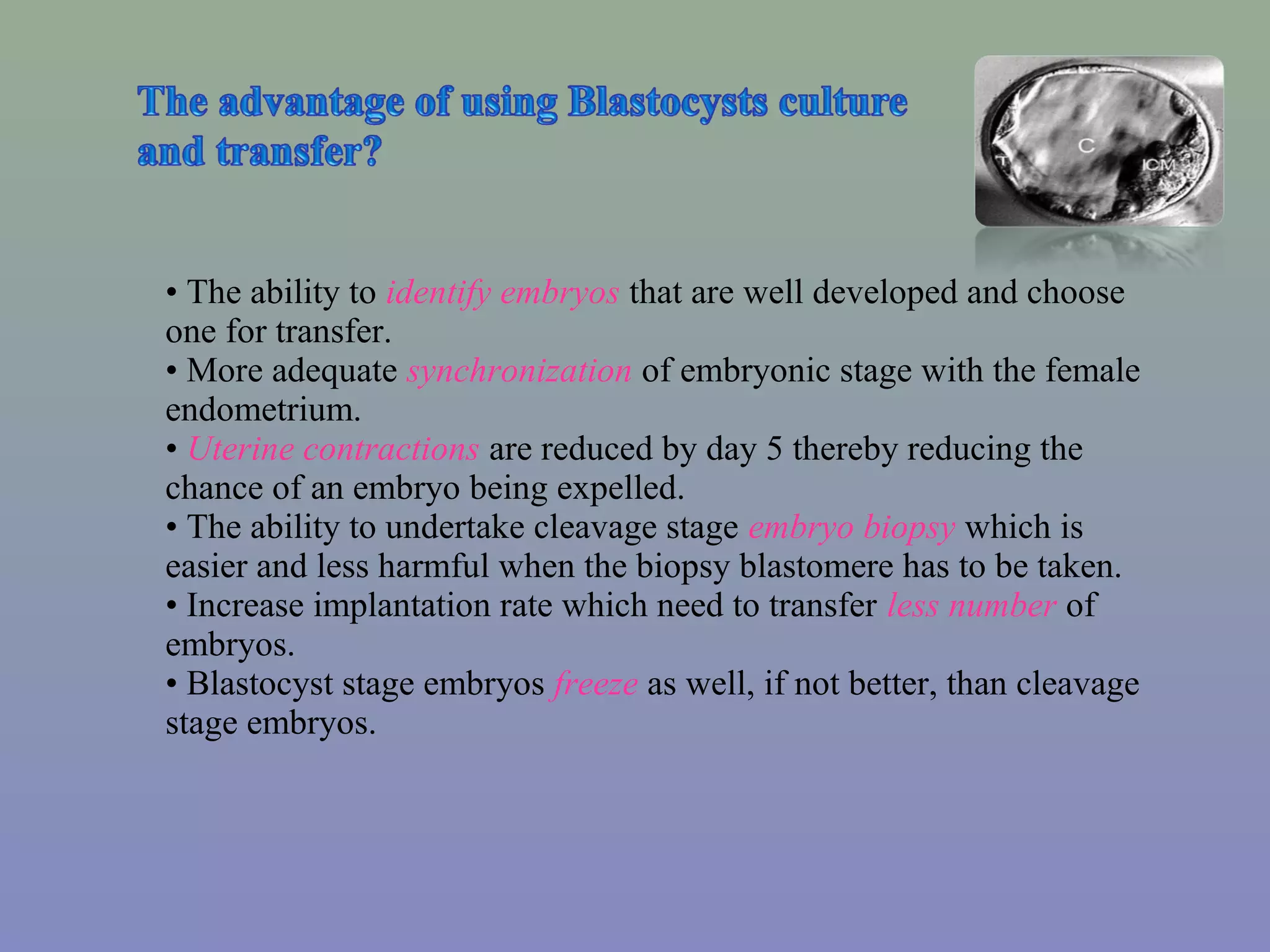 Blastocyst Vitrification: State of the Art | PPT