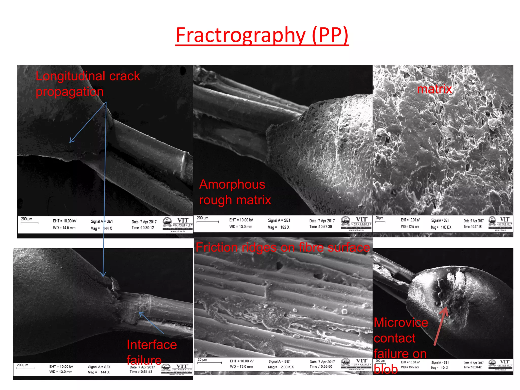 Fractrography (PP)
32
Friction ridges on fibre surface
matrix
Longitudinal crack
propagation
Amorphous
rough matrix
Interface
failure
Microvice
contact
failure on
blob
 