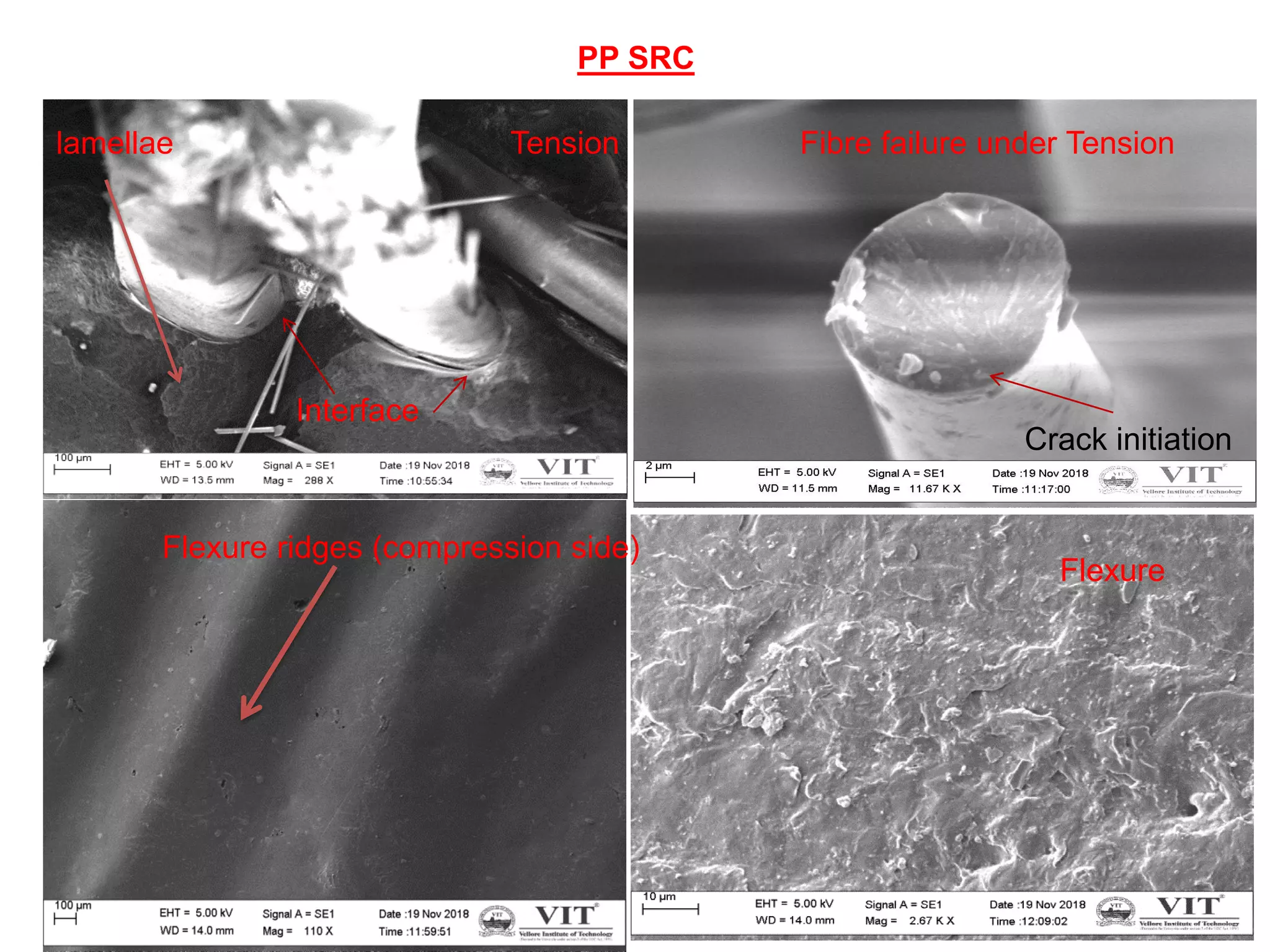 38
Tension Fibre failure under Tension
Flexure ridges (compression side)
Flexure
PP SRC
Crack initiation
Interface
lamellae
 
