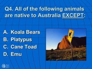 Q4. All of the following animals
are native to Australia EXCEPT:
A. Koala Bears
B. Platypus
C. Cane Toad
D. Emu
 