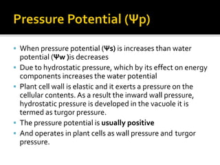  When pressure potential (Ψs) is increases than water
potential (Ψw )is decreases
 Due to hydrostatic pressure, which by its effect on energy
components increases the water potential
 Plant cell wall is elastic and it exerts a pressure on the
cellular contents. As a result the inward wall pressure,
hydrostatic pressure is developed in the vacuole it is
termed as turgor pressure.
 The pressure potential is usually positive
 And operates in plant cells as wall pressure and turgor
pressure.
 