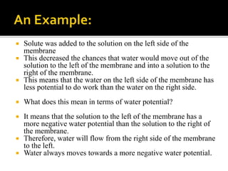  Solute was added to the solution on the left side of the
membrane
 This decreased the chances that water would move out of the
solution to the left of the membrane and into a solution to the
right of the membrane.
 This means that the water on the left side of the membrane has
less potential to do work than the water on the right side.
 What does this mean in terms of water potential?
 It means that the solution to the left of the membrane has a
more negative water potential than the solution to the right of
the membrane.
 Therefore, water will flow from the right side of the membrane
to the left.
 Water always moves towards a more negative water potential.
 