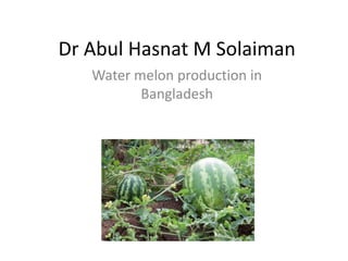 Dr Abul Hasnat M Solaiman
Water melon production in
Bangladesh
 