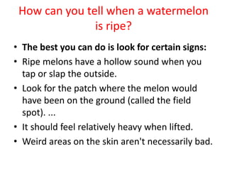 How can you tell when a watermelon
is ripe?
• The best you can do is look for certain signs:
• Ripe melons have a hollow sound when you
tap or slap the outside.
• Look for the patch where the melon would
have been on the ground (called the field
spot). ...
• It should feel relatively heavy when lifted.
• Weird areas on the skin aren't necessarily bad.
 