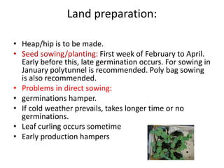 Land preparation:
• Heap/hip is to be made.
• Seed sowing/planting: First week of February to April.
Early before this, late germination occurs. For sowing in
January polytunnel is recommended. Poly bag sowing
is also recommended.
• Problems in direct sowing:
• germinations hamper.
• If cold weather prevails, takes longer time or no
germinations.
• Leaf curling occurs sometime
• Early production hampers
 