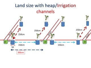 Land size with heap/Irrigation
channels
150cm
50
20 5050 2020
150cm
250cm 250cm
250cm
300cm
 