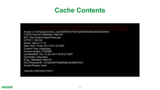 58
# head -n 14 /tmp/nginx/micro_cache/5/94/51b740d1ab03f287d46da45202c84945
??X?X??Xb?!bv?"58efe5ab-148b7d4"
KEY: http://origin/images/hawaii.jpg
HTTP/1.1 200 OK
Server: nginx/1.11.10
Date: Wed, 19 Apr 2017 23:51:38 GMT
Content-Type: image/jpeg
Content-Length: 21542868
Last-Modified: Thu, 13 Apr 2017 20:55:07 GMT
Connection: keep-alive
ETag: "58efe5ab-148b7d4"
OS-X-Request-ID: 1e7ae2cf83732e8859bc3e38df912ed1
Accept-Ranges: bytes
?wExifII>(i?Nl?0230??HH??
Cache Contents
 