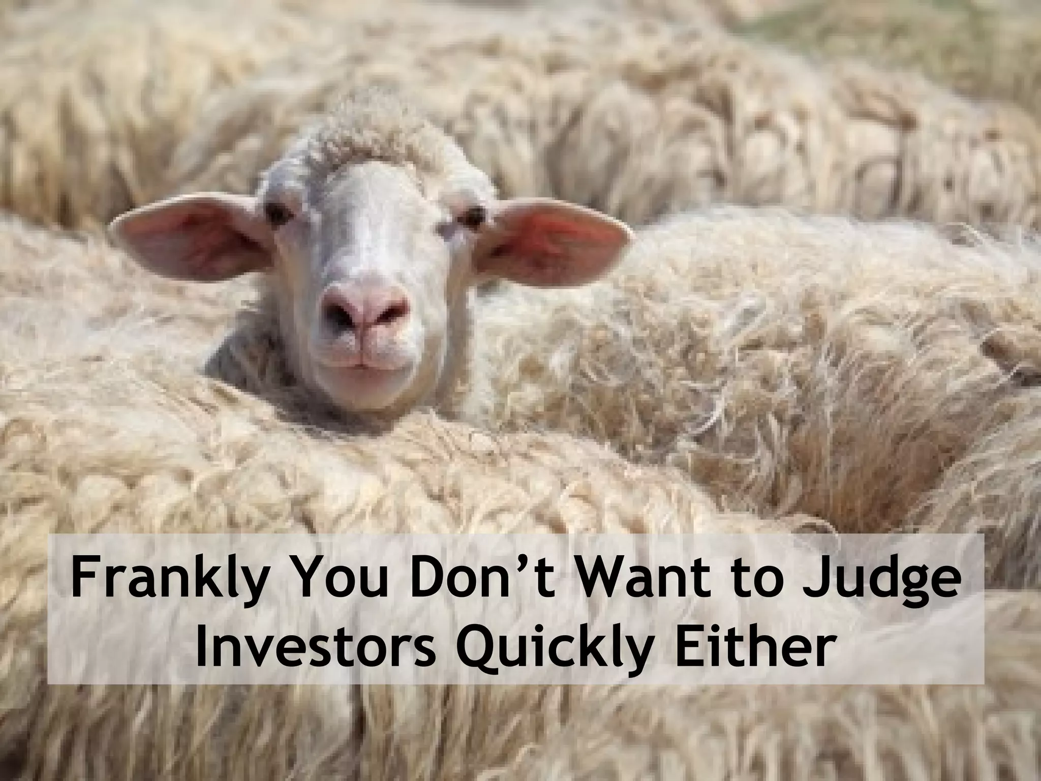 Frankly You Don’t Want to Judge
Investors Quickly Either
