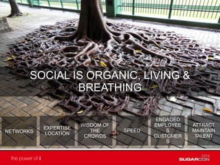 SOCIAL IS ORGANIC, LIVING &
BREATHING
EXPERTISE
LOCATION
WISDOM OF
THE
CROWDS
SPEED
ENGAGED
EMPLOYEE
S
CUSTOMER
S
ATTRACT
MAINTAIN
TALENT
NETWORKS
 