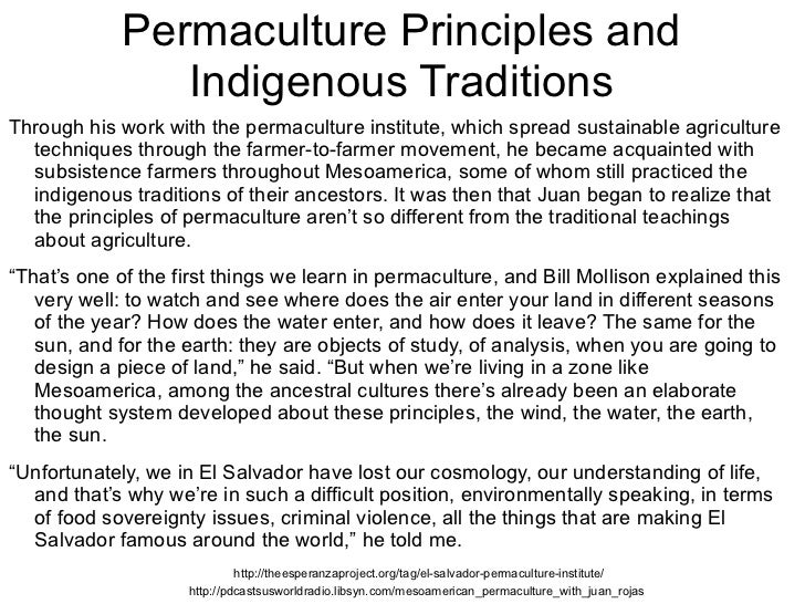 Permaculture In El Salvador