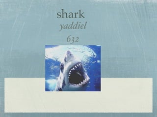 shark
yaddiel
  632
 