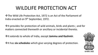 WILDLIFE PROTECTION ACT
The Wild Life Protection Act, 1972 is an Act of the Parliament of
India enacted on 9th September, 1972.
It provides for protection of wild animals, birds and plants ; and for
matters connected therewith or ancillary or incidental thereto.
It extends to whole of India, except Jammu and Kashmir.
It has six schedules which give varying degrees of protection.
 