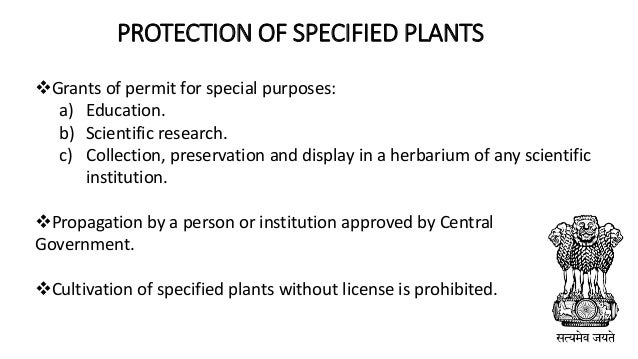 Wildlife Protection Act 1972 Ppt
