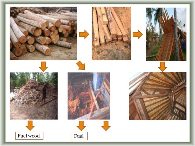 How to start a lumber business picture