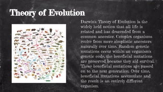 Theory of Evolution
Darwin's Theory of Evolution is the
widely held notion that all life is
related and has descended from a
common ancestor. Complex organisms
evolve from more simplistic ancestors
naturally over time. Random genetic
mutations occur within an organism's
genetic code, the beneficial mutations
are preserved because they aid survival.
These beneficial mutations are passed
on to the next generation. Over time,
beneficial mutations accumulate and
the result is an entirely different
organism.
 
