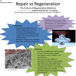 Repair vs Regeneration
The Future of Regenerative Medicine
------------------ supervised by Dr. Liz James
School of Pharmacy and Biomolecular Sciences, University of Brighton
Objective
• Comparing the effectiveness of
different biomaterials as E.C.M.
Scaffolds aiding regeneration.
• To understand the viability of these
scaffolds after they are exposed to
certain stresses.
• Method of storage so the scaffold is
kept viable while it is not being use.
Method
• A variety of scaffold types will be tested
on mice, the test should provide
information to which scaffold is the
most effective .
• Each test will have a different
parameter, this will give data showing
what effects the tissue regeneration.
• After several weeks the mice will be
checked for any marks or scars and any
significant difference provides
quantitative data to the regeneration of
the biomaterial.
Biomaterials have long been a focal
point of tissue engineering due to the
advancement In our understanding of
the functions of the extracellular
matrix and the mechanism of
dedifferentiation.
http://ec.europa.eu/research/press/2000/pr2703en-an.html
Hyaluronic Acid based
Scaffold (Hydrogel)
http://openi.nlm.nih.gov/detailedresult.php?i
mg=2426767_nano0101-15-03&req=4
 