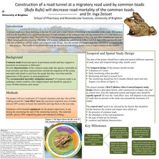 Construction of a road tunnel at a migratory road used by common toads
(Bufo Bufo) will decrease road mortality of the common toads.
----------------------- and Dr. Inga Zeisset
School of Pharmacy and Biomolecular Sciences, University of Brighton
Introduction
Common toads have been declining in the last 30 years and a major reason of declining is the mortality in the roads. This project
will test the hypothesis of a significant decrease of road mortality of the common toad with the construction of a road tunnel at a
common toad migratory road. There have been a few similar conservation projects in USA, UK and other countries but most of
them lacked sufficient planning. The study will propose methods for volunteers to collect road-kill data (24hrs per month) and
will also propose an optimal spatial and temporal study design. Also the rainfall and temperature data sets will be included in the
data analysis. The results of the project will help the decision in undertaking further work or improvements on the tunnels.
Temporal and Spatial Study Design
The data of the project should have replicated spatial (different segments
of study area) and temporal design (day, month, year).
The temporal design of this project should include:
 A duration of 5 years.
 Daily monitoring when possible3.
 Monitoring will start at around 5a.m.
 The monitoring should last for 6 months (March-April and July-
August ) (as shown in figure 1.).
The project include a BACI (Before-After-Control-Impact) study
design which is data taken before, after construction at impact sites and
at control sites. Also the replicated control and impact sites should be
equally spaced4 all over the ‘road effect’ area, will depend on the amount
of roads that are present in the study area (around the minimum of 6
roads).
The control sites5 need to be selected by the factors that should be
similar between the control and impact sites which are:
 the presence of common toads
 the abundance of the toad populations
 the type of land use by humans
 common toad habitat characteristics
Methods
The project will use a minimum of 3 trained volunteers each day who will be
walking around the ‘road effect’ area (the maximum migration area of toads)
and use GPS systems to locate the road-kills and map them on the area map.
Volunteers will be handed equipment, by the project supervisors, to use
during the monitoring the start of the monitoring sessions. The materials
include: gloves, GPS, magnifying glass and waterproof clothing.
The amphibian
tunnels had no effect
or reduced the
mortality of common
toads.
Inform the local
people around the
tunnel area about the
aims and goals of the
tunnels.
The local people will
support the project
and will keep the
tunnels clean and
safe.
Inform the world’s
public and scientific
community on the
data and results of
the project.
The conservation and non-
conservation projects will
enable the use the data and
results of the project to
undergo future more
rigorous scientific projects.
Background
Common toads breed and spawn in permanent ponds and they migrate to
terrestrial environments to hibernate1.
Several characteristics of the common toads make the species vulnerable to
road mortality and these characteristics include the migration of the young
and adult individuals to and from the ponds that they were born and the
appearance of the species in meta-populations1.
The recommended mortality mitigation measure2 of common toads is an
underpass which could be a box shaped tunnel and should be spaced at
every 50-60m between each tunnel.
References
1. Armstrong B., Baker J., Carson G. et al. (2011) Common toads and
roads: Guidance for planners and highways engineers in England
Amphibian and Reptile Conservation.
2. Iuell B., Bekker G.J., Cuperus R., Dufek J., Fry G., Hicks C., Hlavac V.,
Keller V., Rosell C., Sangwine T., Torslov N., Wandall B. (2003) COST 341
Wildlife and Traffic: A European Handbook for Identifying Conflicts and
Designing Solutions. KNNNV Publishers, Brussels.
3. Santos S. M., F. Carvalho, and A. Mira. (2011) How long do the dead
survive on the road? Carcass persistence probability and implications for
road-kill monitoring surveys. PLOS ONE 6
4. van der Grift E.A., van der Rodney R. and Fahrig L. et al. (2012)
Evaluating the effectiveness of road mitigation measures. Biodivers.
Conserv. Published online
5. Roedenbeck I.A., Fahrig L., Findlay C.S., Houlahan J.E., Jaeger J.A.G.,
Klar N., Kramer-Schadt S. and van der Grift E.A. (2007) The
Rauischholzhausen agenda for road ecology. Ecol. Soc. 12(1):11.
Figure 1. The figure shows the life cycle of
the common toads and seasonal activity
Key Milestones
 