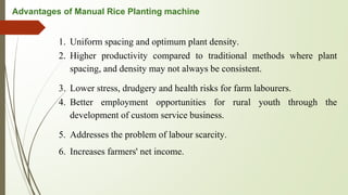 Advantages of Manual Rice Planting machine
1. Uniform spacing and optimum plant density.
2. Higher productivity compared to traditional methods where plant
spacing, and density may not always be consistent.
3. Lower stress, drudgery and health risks for farm labourers.
4. Better employment opportunities for rural youth through the
development of custom service business.
5. Addresses the problem of labour scarcity.
6. Increases farmers' net income.
 