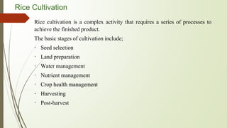 Rice Cultivation
Rice cultivation is a complex activity that requires a series of processes to
achieve the finished product.
The basic stages of cultivation include;
∙ Seed selection
∙ Land preparation
∙ Water management
∙ Nutrient management
∙ Crop health management
∙ Harvesting
∙ Post-harvest
 