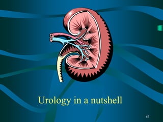67
Urology in a nutshell
 