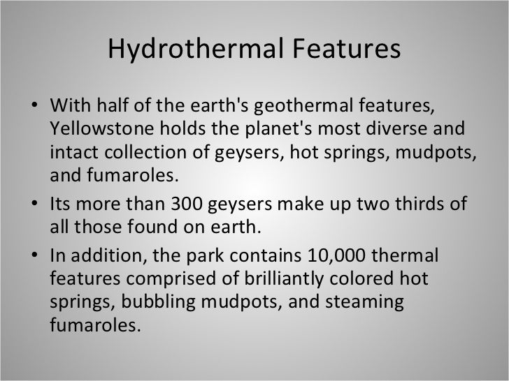 description my house essay tourists