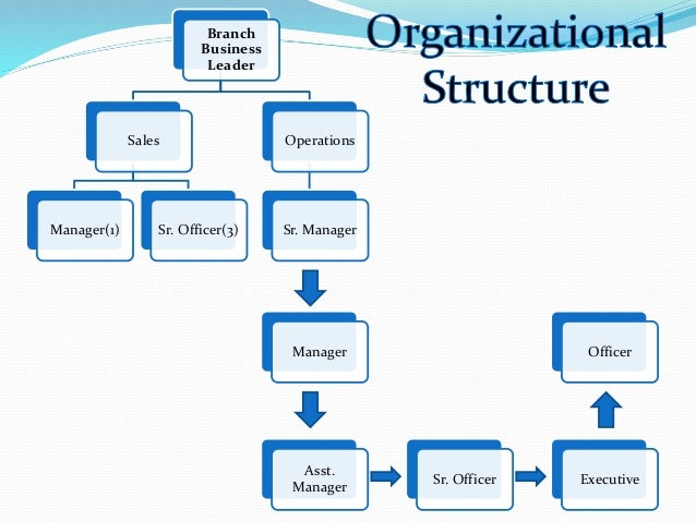 sales manager responsibilities