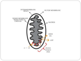 Parkinson disease | PPTX