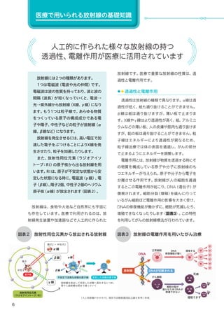 6
　放射線には２つの種類があります。
　１つは電磁波（電波や光の仲間）です。
電磁波は波の性質を持っており、波と波の
間隔（波長）が短くなっていくと、電波→
光→紫外線から放射線（X線、γ線）になり
ます。もう１つは粒子線で、あらゆる物質
をつくっている原子の構成成分である電
子や陽子、中性子などの粒子が放射線（α
線、β線など）になります。
　放射線を発生させるには、高い電圧で加
速した電子をぶつけることによりX線を発
生させたり、粒子を加速したりします。
　また、放射性同位元素（ラジオアイソ
トープ：RI）の原子核から出る放射線を用
います。RIは、原子が不安定な状態から安
定した状態になる時に、電磁波（γ線）、電
子（β線）、陽子2個、中性子２個のヘリウム
原子核（α線）が放出されます（図表２）。
　放射線は、食物や大地など自然界にも宇宙に
も存在しています。医療で利用されるのは、放
射線発生装置や加速器などで人工的に作られた
放射線です。医療で重要な放射線の性質は、透
過性と電離作用です。
◆◆透過性と電離作用
　透過性は放射線の種類で異なります。α線は透
過性が低く、紙も通り抜けることができません。
β線は紙は通り抜けますが、薄い板で止まりま
す。X線やγ線はより透過性が高く、紙、アルミニ
ウムなどの薄い板、人の皮膚や筋肉も通り抜けま
すが、鉛の板は通り抜けることができません。粒
子線はエネルギーにより透過性が異なるため、
粒子線治療では体の表面を通過し、がんの部分
で止まるようにエネルギーを調整します。
　電離作用とは、放射線が物質を透過する時にそ
の物質を構成している原子や分子に放射線のも
つエネルギーが与えられ、原子や分子から電子を
分離させる作用です。放射線が人の細胞を通過
するとこの電離作用が起こり、DNA（遺伝子）が
傷害されます。細胞分裂（増殖）を盛んに行って
いるがん細胞ほど電離作用の影響を大きく受け、
DNAの修復機能が働かずに、細胞が死滅したり、
増殖できなくなったりします（図表3）。この特性
を利用してがんの放射線療法が行われています。
放射性同位元素から放出される放射線図表２ 放射線の電離作用を用いたがん治療図表３
人工的に作られた様々な放射線の持つ
透過性、電離作用が医療に活用されています
医療で用いられる放射線の基礎知識
『人と放射線のかかわり』核医学診療推進国民会議を参考に作成
放射線
DNA
修復機能が働く
増殖する正常細胞
がん細胞
死滅
増殖できず
細胞分裂が
盛んなため DNAが
修復できない
DNA
DNAが切断されるβ線
陽子
中性子
放射性同位元素
（ラジオアイソトープ：RI）
原子核
β線
γ線
γ線
不安定で活発な状態の原子核 安定した状態の原子核
放射線を放出して安定した状態へ変化するにつれ、
徐々に放射線は弱まり減っていく
α線
陽子2 ＋ 中性子2
α線
 