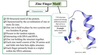 Zinc Finger Nuclease. | PPTX