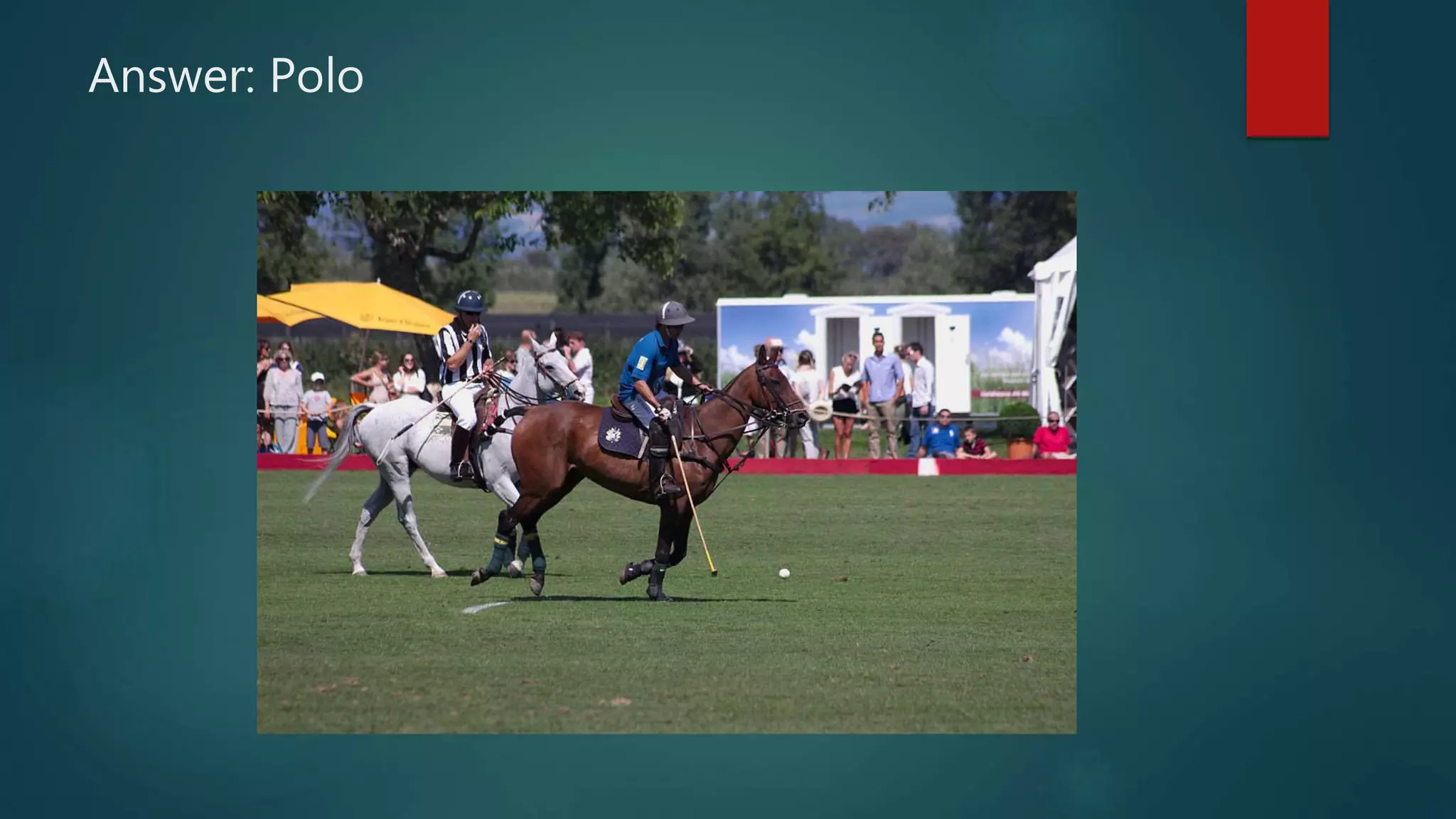 Answer: Polo
 