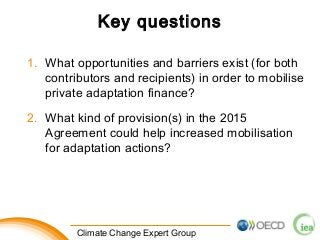 Key questions 
1. What opportunities and barriers exist (for both 
contributors and recipients) in order to mobilise 
private adaptation finance? 
2. What kind of provision(s) in the 2015 
Agreement could help increased mobilisation 
for adaptation actions? 
1 Climate Change Expert Group 
