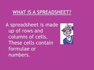A spreadsheet is made up of rows and columns of cells.  These cells contain formulae or numbers. 