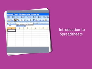 Introduction to Spreadsheets  
