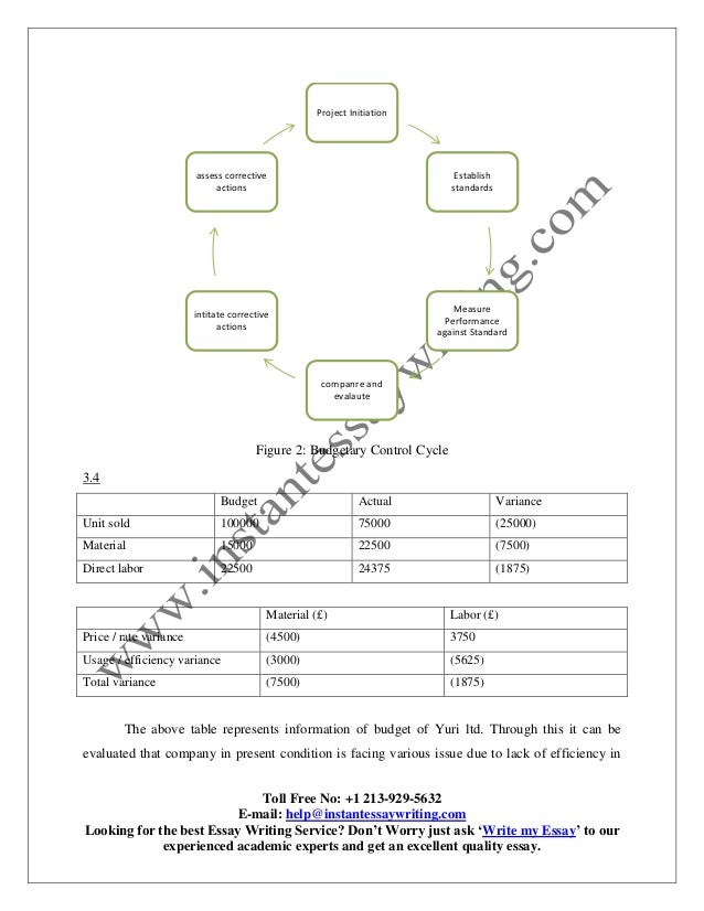 Finance major college essay image