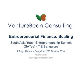 Entrepreneurial Finance: Scaling 
South Asia Youth Entrepreneurship Summit 
(SAYes) - TiE Bangalore 
Infosys Campus, Bangalore, 28th October 2014 
Anjana Vivek 
beanie@venturebean.com 
 
