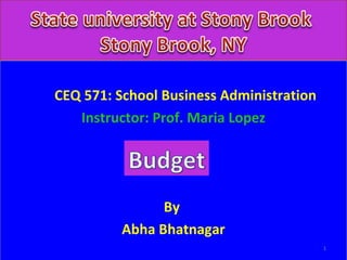 CEQ 571: School Business Administration
Instructor: Prof. Maria Lopez
By
Abha Bhatnagar
1
 